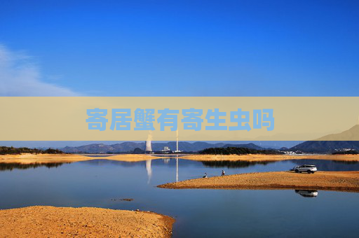 寄居蟹有寄生虫吗