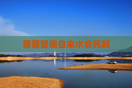 寄居蟹喝自来水会死吗