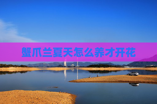 蟹爪兰夏天怎么养才开花