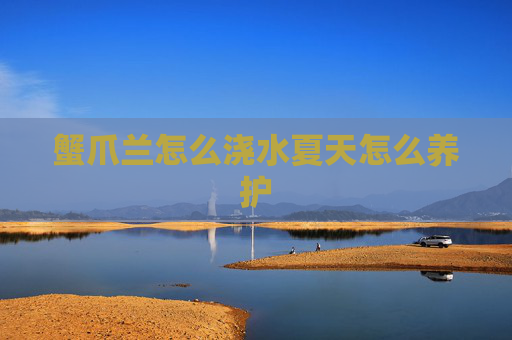 蟹爪兰怎么浇水夏天怎么养护