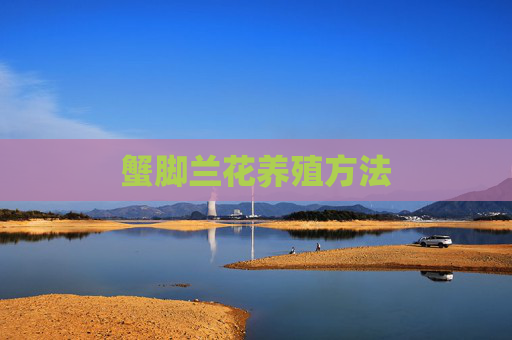蟹脚兰花养殖方法