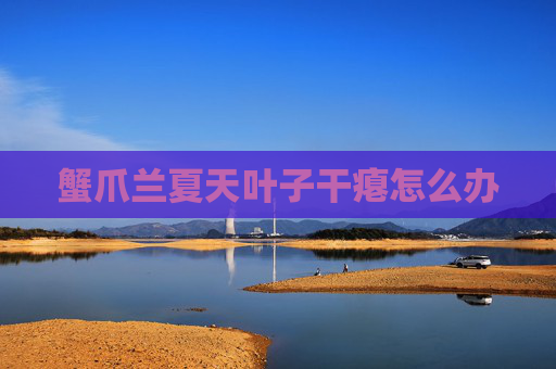 蟹爪兰夏天叶子干瘪怎么办