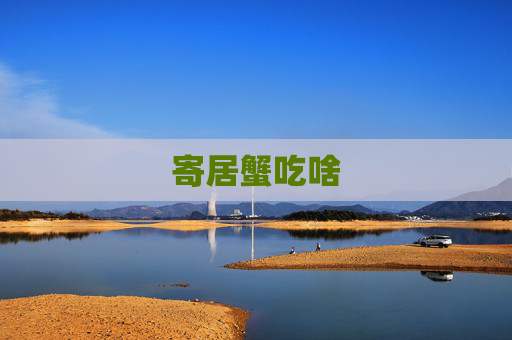 寄居蟹吃啥