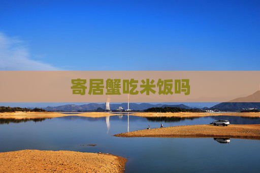 寄居蟹吃米饭吗