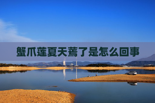 蟹爪莲夏天蔫了是怎么回事