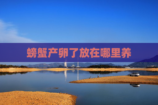 螃蟹产卵了放在哪里养