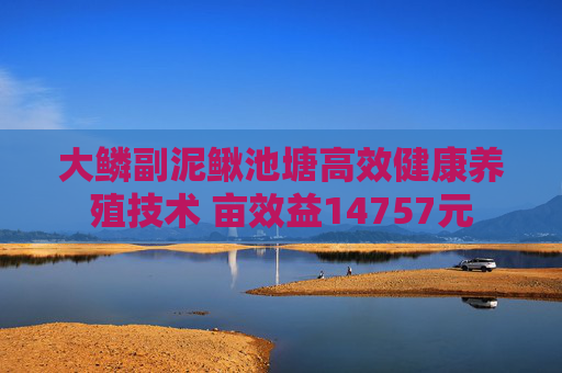 大鳞副泥鳅池塘高效健康养殖技术 亩效益14757元
