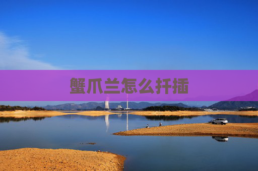 蟹爪兰怎么扦插