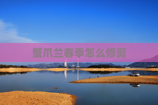 蟹爪兰春季怎么修剪