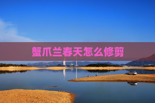 蟹爪兰春天怎么修剪