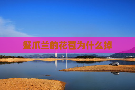 蟹爪兰的花苞为什么掉