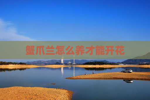 蟹爪兰怎么养才能开花