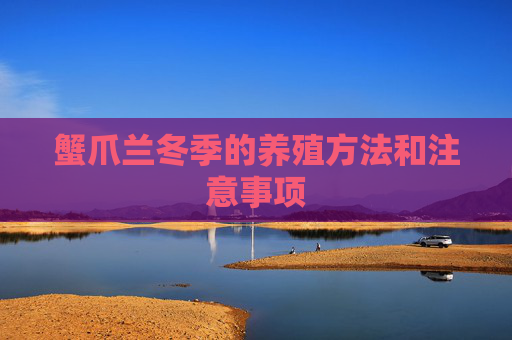 蟹爪兰冬季的养殖方法和注意事项