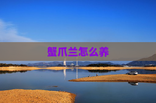蟹爪兰怎么养