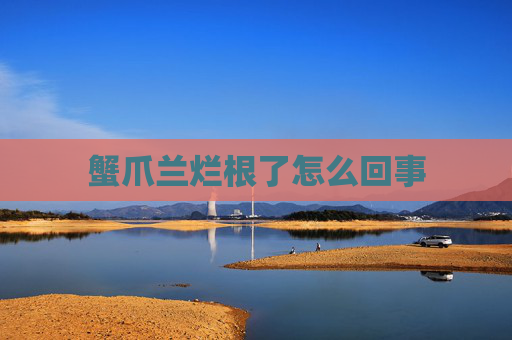 蟹爪兰烂根了怎么回事