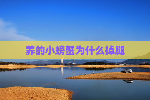 养的小螃蟹为什么掉腿