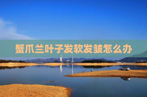 蟹爪兰叶子发软发皱怎么办