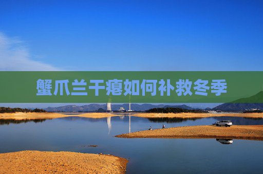 蟹爪兰干瘪如何补救冬季