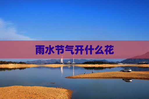 雨水节气开什么花