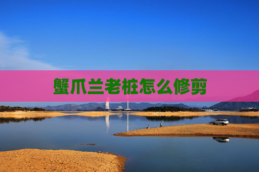 蟹爪兰老桩怎么修剪
