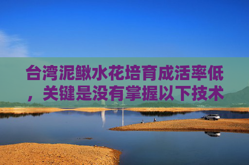 台湾泥鳅水花培育成活率低，关键是没有掌握以下技术点