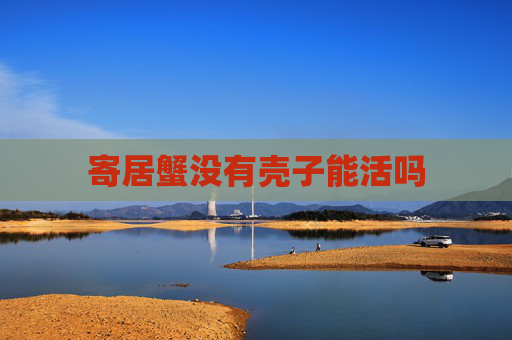 寄居蟹没有壳子能活吗