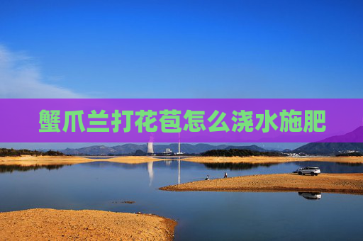 蟹爪兰打花苞怎么浇水施肥