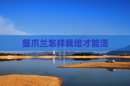 蟹爪兰怎样栽培才能活