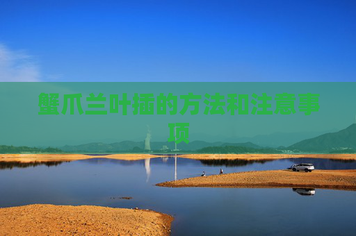 蟹爪兰叶插的方法和注意事项