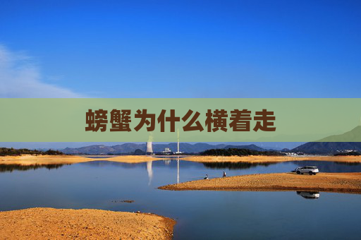 螃蟹为什么横着走