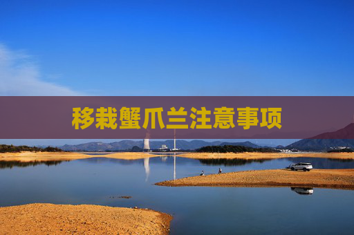 移栽蟹爪兰注意事项