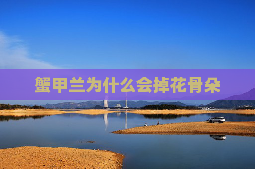 蟹甲兰为什么会掉花骨朵