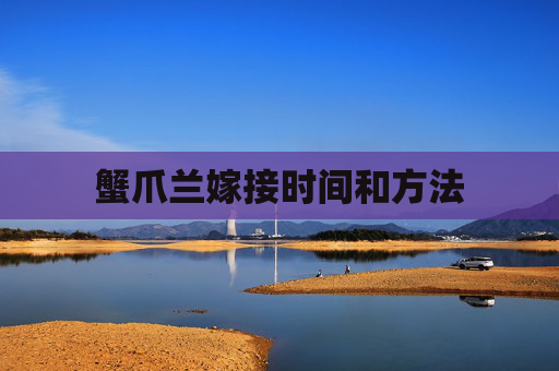 蟹爪兰嫁接时间和方法