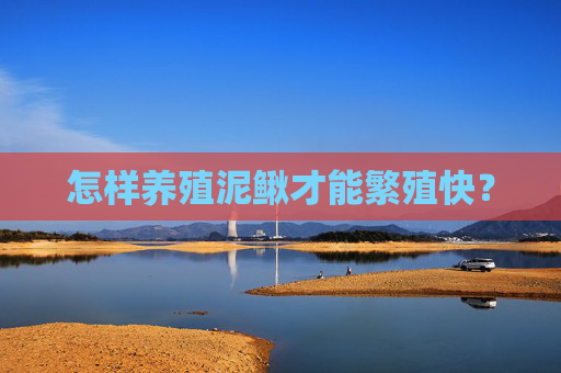 怎样养殖泥鳅才能繁殖快？