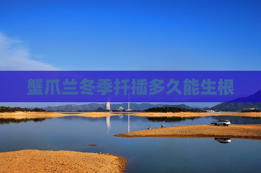 蟹爪兰冬季扦插多久能生根