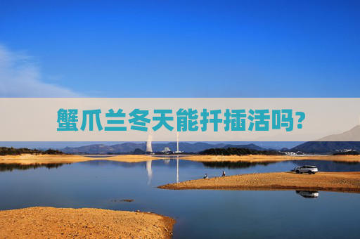 蟹爪兰冬天能扦插活吗?