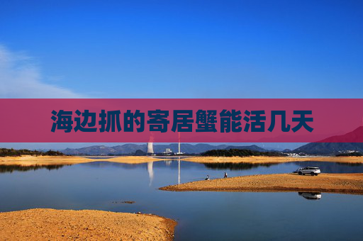 海边抓的寄居蟹能活几天