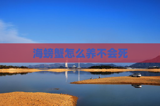 海螃蟹怎么养不会死