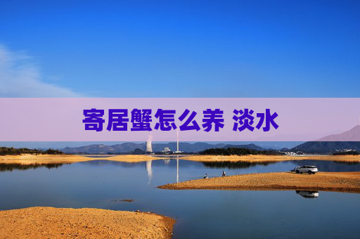 寄居蟹怎么养 淡水