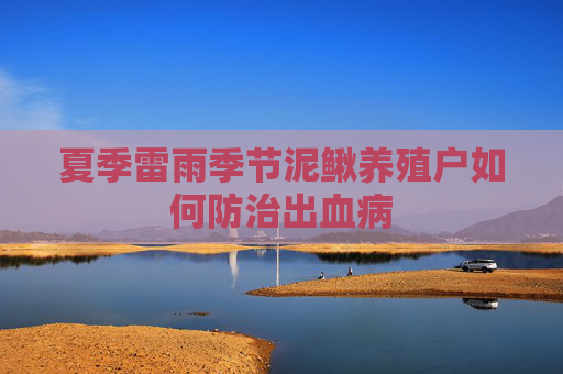 夏季雷雨季节泥鳅养殖户如何防治出血病