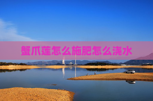 蟹爪莲怎么施肥怎么浇水