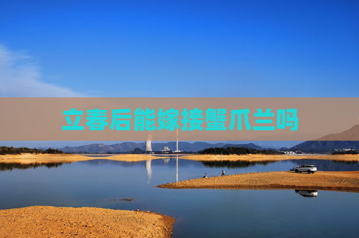 立春后能嫁接蟹爪兰吗