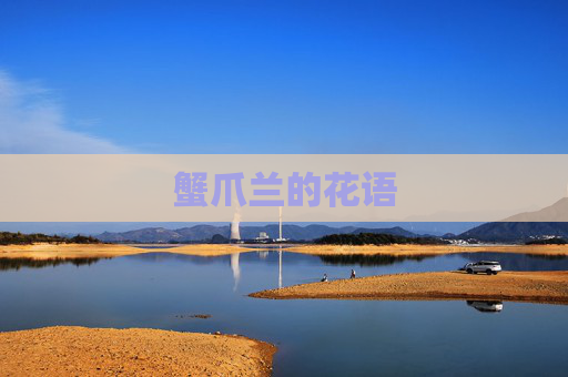 蟹爪兰的花语