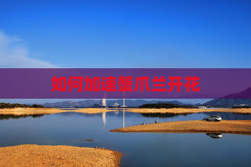 如何加速蟹爪兰开花
