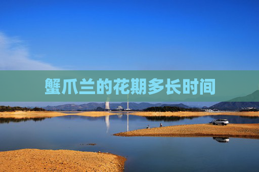 蟹爪兰的花期多长时间