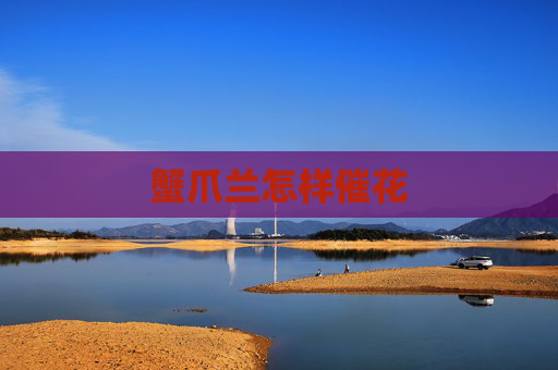 蟹爪兰怎样催花