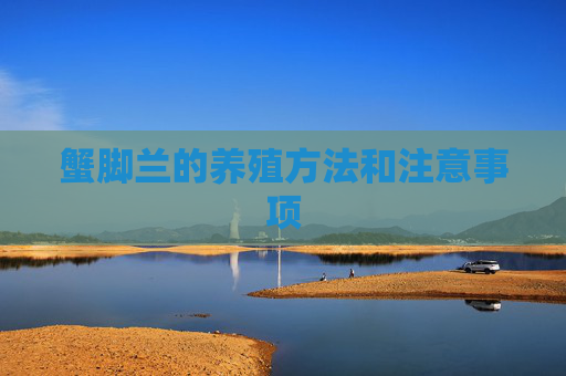 蟹脚兰的养殖方法和注意事项