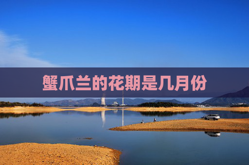 蟹爪兰的花期是几月份