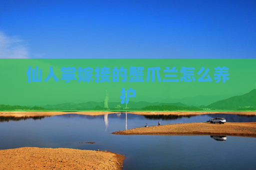 仙人掌嫁接的蟹爪兰怎么养护