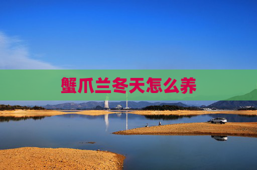 蟹爪兰冬天怎么养